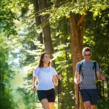 Apartma Smithy Lasko