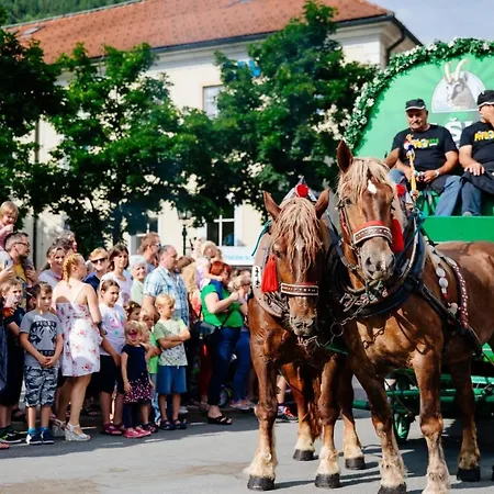 Apartma Smithy * Lasko