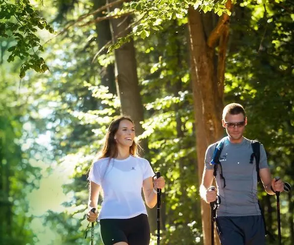 Apartma Smithy 라스코