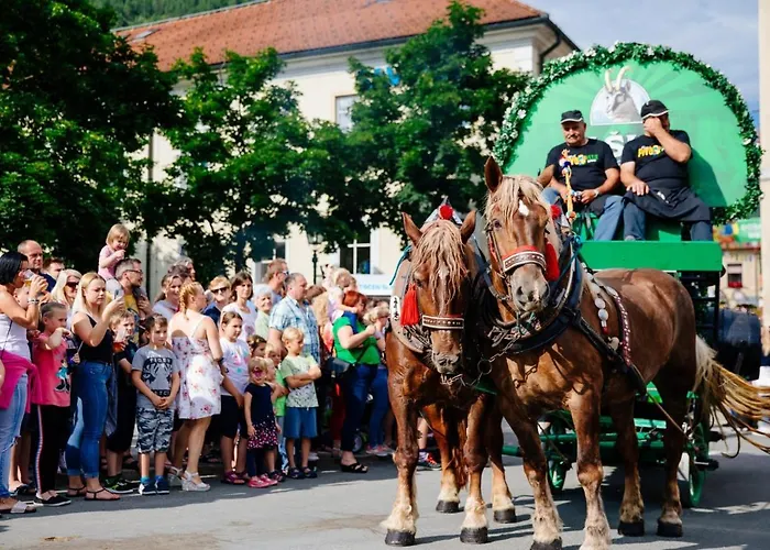 Apartma Smithy * Laško